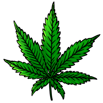 Fashion & Cannabis Store
